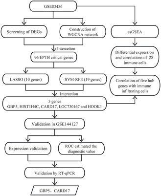 Identification of diagnostic biomarkers correlate with immune infiltration in extra-pulmonary tuberculosis by integrating bioinformatics and machine learning